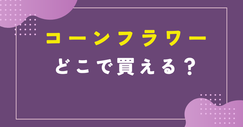 コーンフラワー どこで買える