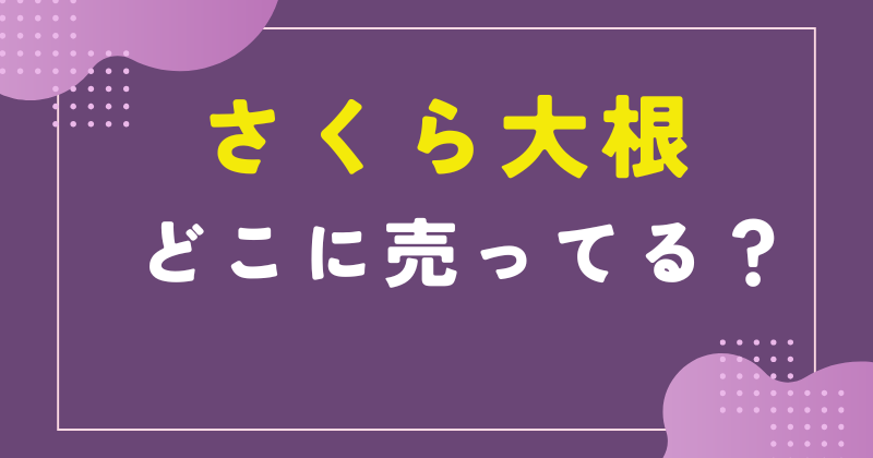 さくら 大根 売っ てる 場所