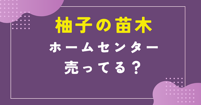 柚子 苗木 ホームセンター