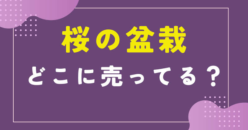 桜 盆栽 ホームセンター